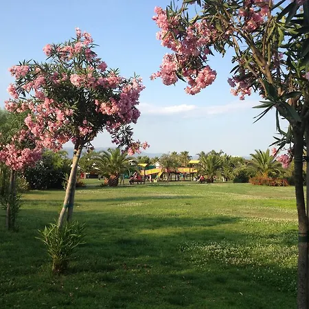 Casa 800